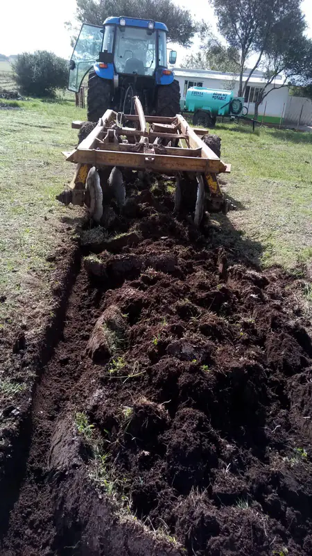 Maquinaria preparando tierra para una plantación forestal