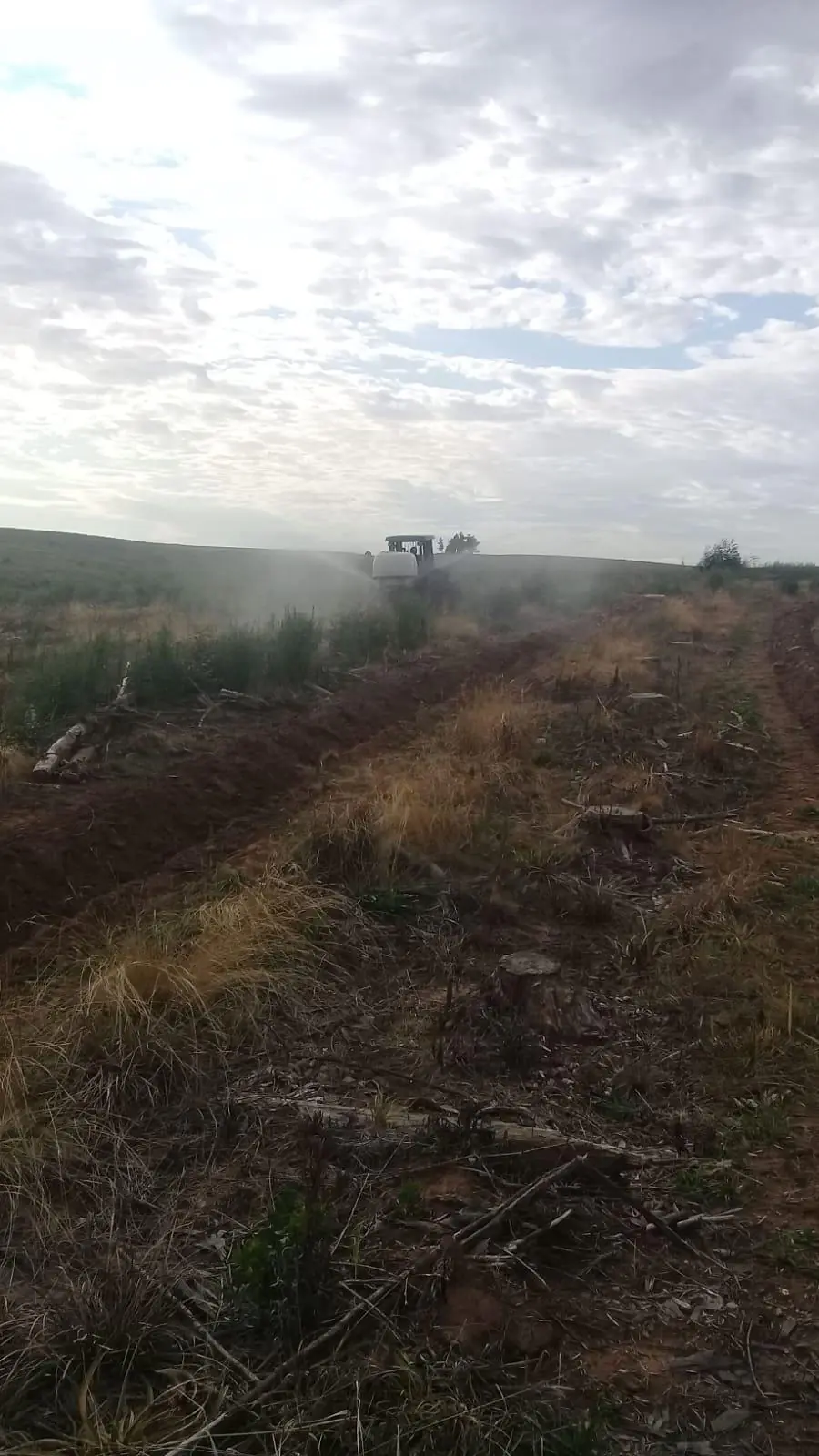 Aplicación terrestre de herbicida con maquinaria forestal