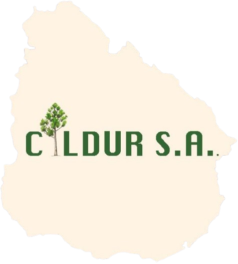 Logo Cildur